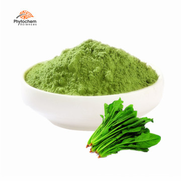 dried leaves juice organic spinach powder in bulk